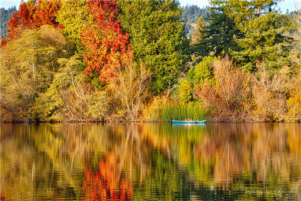 /Images/uploads/Sonoma County Regional Parks Foundation/springlake50/entries/28914thumb.jpg